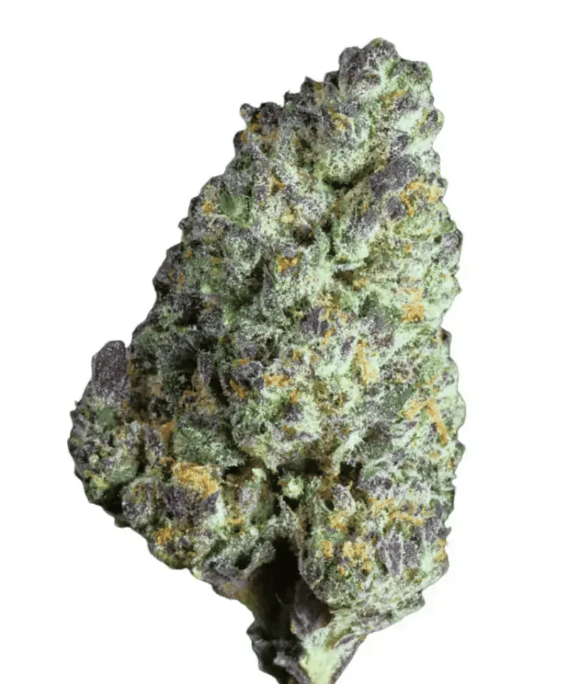 aleph swiss Bliss 17/1 Motor Breath